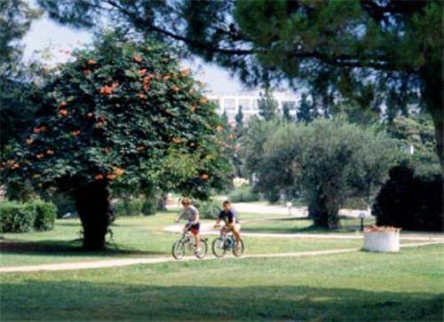 Gerakina Beach Hotel Chalkidiki ภายนอก รูปภาพ